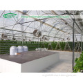 Commercial Hydroponics System